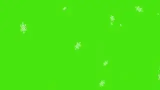 Rain Flower🌺Green screen| copyright Free Greenscreen download #greenscreen #cromakey #edit #cromakey