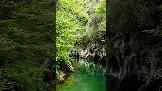 A Quiet Forest Pool 🌿 Feel the Calm #naturecalm#forestsounds#quietmoment#relaxshorts#calmnature