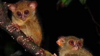 Off the Beaten Path INDONESIA |  Incito Vacations