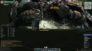 Dragon Nest Project Duck Grand Master Looping Rotation