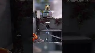 SUS
