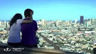 Where should I take my dog for a hike in the Bay Area?