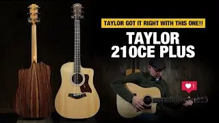 Taylor 210ce Plus — идеальная пара для Квинтона, но КАК!?