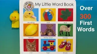 300 первых слов для младенцев и малышей | Моя маленькая книжка слов от Priddy Books | Изучаем цве...