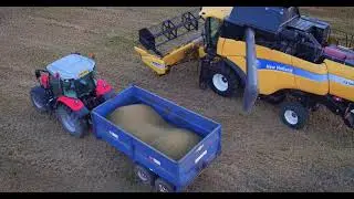 Golden Harvest 2016
