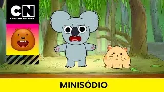 Nom Nom contra Hamster | Ursos Sem Curso | Minisódio | Cartoon Network