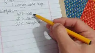 Important terms; Species, Strains, Biovar, Morphovar, and Serovar quick revision for exam in poshto