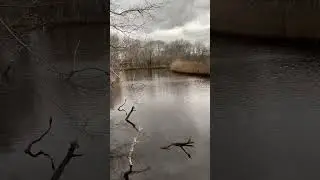 The Marsh at Daniel Webster Wildlife Sanctuary #nature #walking #hiking