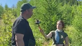 Klimafitter Wald in Ober&ouml;sterreich: Baumarten-Mix f&uuml;r stabile W&auml;lder