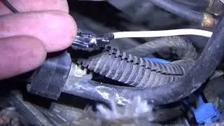 C5 Corvette Starter Harness Provlem. Please advise!