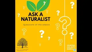 Ask a Naturalist