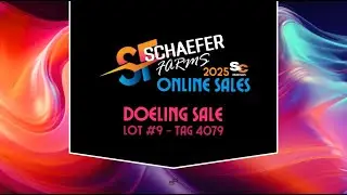 Schaefer Farms SCOD   Lot #9