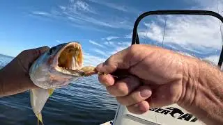 Experience the Thrill Trout Fishing in Panacea Florida!