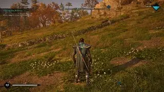 Awesome Example of Incendiary Powder Trap, lv2 | Assassin's Creed Valhalla - Berserkr