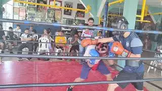 Tortuga donatelo en Cuautla en axi&oacute;n 