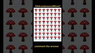 comment the answer 👇🏻 #quiztime #lyrics