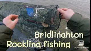 Pier Fishing for Rockling , Whiting & Flounder/sea fishing Uk