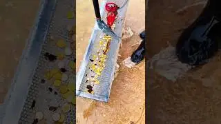 Beach Cleanup Challenge:Found Coins & Secrets in the Sand!