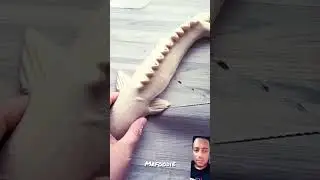 Amazing art _ Fish bread #shorts