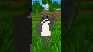 DID YOU KNOW... #humor #comedy #minecraft