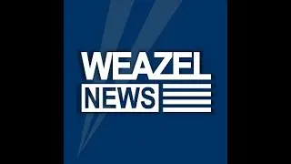 Weazel News Update: Richard Kalinko investigates extra-terrestrial beings in Los Santos (Lucid RP)