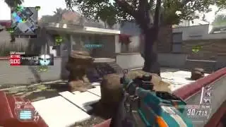 Black Ops 2    AQUA   Camo DLC!   SWARM w  AN 94
