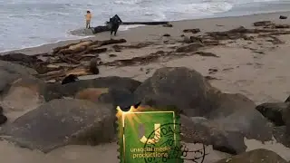 A day at the beach with the kids