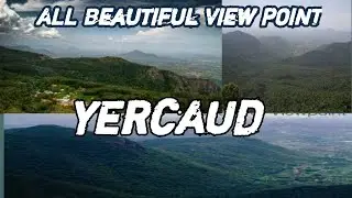yercaud All Beautiful View Point|கண்னை கவரும் இயற்கை காட்சிகள்|Karadiyur|Pagoda Point|Lady Seat|