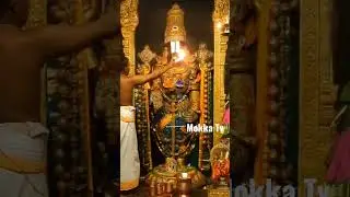 Venkatesha Perumal Archanai 🙏👍🙏 #shorts