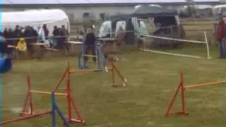 09-09-13 Agility Blankenheim, JP3, Mona Grefenstein & Page van Nikaron