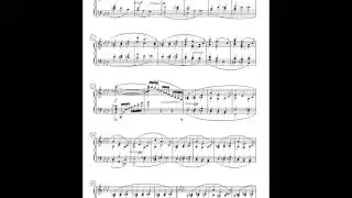 Wagner-Levin: Siegfried Idyll