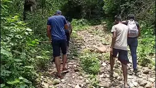 Lanka para || titi forest