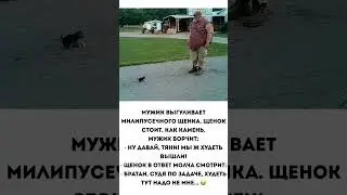 Начал сминимума #comedy #юмор#мем#прикол#рекомендации#ржака#shorts#trending