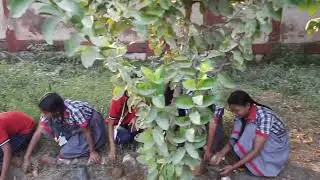 Gardening under BAGLESS DAYS Program