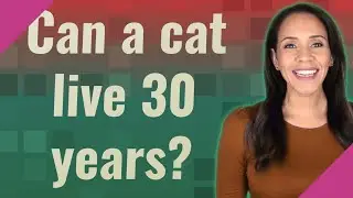 Can a cat live 30 years?