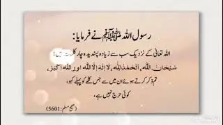 Allah Ke Nazdeek Sabse Pasandeeda 4 Kalmat | Samreen Soulful | Hadeez | #shorts #viral #hadees 