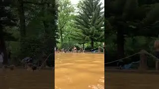 Parque terra Nostra - azores
