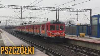 Pociągi na stacji Pszczółki (IC, PR, CARGO)