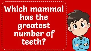 Which Mammal Have The Greatest Number Of Teeth? Explained