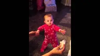 Stella first steps Christmas day.