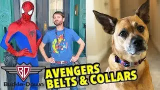 Avengers Endgame Buckle-Down Products with the Avengers at DCA and My Pup!
