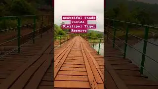 Beautiful Roads  🛤 😍 Inside Similipal tiger reserve 🐅 #shorts #travel