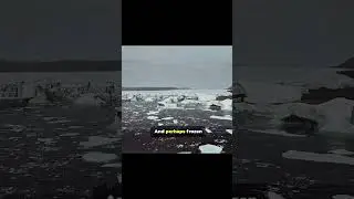 What If Earth&rsquo;s Atmosphere Suddenly Disappeared? part (9)