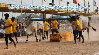 నరసరావుపేట సీనియర్స్ విభాగం 6వ జత MVSR బుల్స్ మార్తల వెంకటసుబ్బరెడ్డి,రంగసాయిపల్లె,YSR (💥దక్ష & దేవర