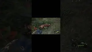 Legendary Diamond Bengal Tiger hunt Sundarpatan Nepal #shorts #shortvideo  #cotw #gaming #hunting