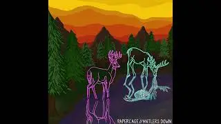 Neighbors - Papercage
