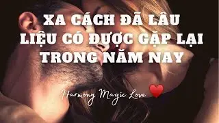 Chọn 1 tụ bài #Tarot [BIGLOVE]❤️XA CÁCH ĐÃ LÂU, LIỆU CÓ GẶP LẠI TRONGNĂMNAY #romanticlove #lovetarot