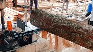Mastering Sawmill Operations: Scaling Up for Timber Processing Success