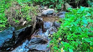 Natural River Sounds for Deep Peace