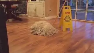 Mop Dog
